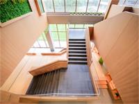 上海德英乐学院介绍【教育成就理想人生】