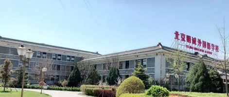 北京明诚外国语学校高中部招生信息