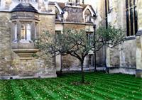 南京A-level课程班优秀学员分享&mdash;&mdash;王煜昊