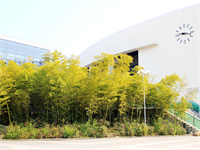 上海尚德学校报名条件，报名还有哪些你需要准备的？