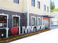 上海美高双语学校历届升学成果展示