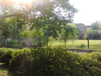 上海交通大学继续教育学院A-Level国际课程中心一月招生说明会与考试安排~