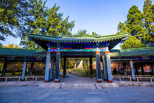 易赛思国际中学招生简章