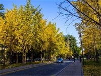 易赛思国际高中招生信息一览