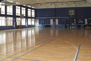 力迈中美国际学校幼儿园国际课程