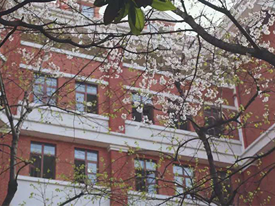 感受武汉六中国际部的特色教育