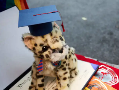 上海七宝德怀特2020届毕业典礼