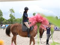 2018上海莱克顿国际学校！高中学生必须人人会骑马，怎么回事