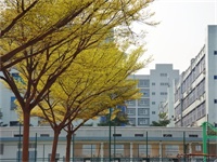 喜报！深圳新哲书院学子获宾夕法尼亚大学offer!