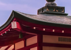 上海常青日本高中项目优势，为什么去日本留学？