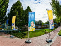 天津美达菲国际学校初中高中录取标准