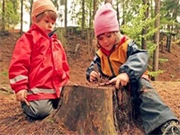 风靡全球的森林教育到底能带给孩子什么？