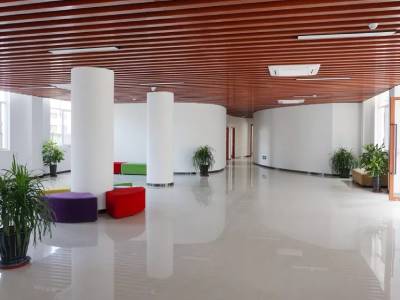 上海美达菲学校&ldquo;起步，与世界同步&rdquo;