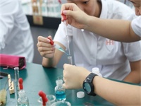 中山华附国际部2020年招生简章