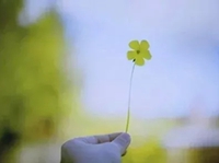 或许这才是的课堂