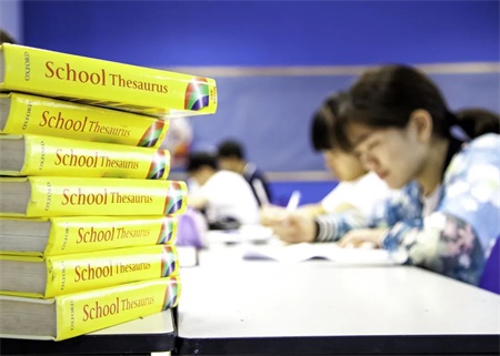 上海诺美学校2020年招生简章