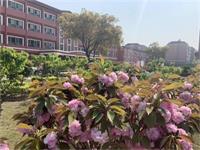 上海鸿文国际课程中心五大办学优势【全日制民办学校】