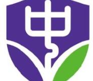 中黄外国语小学好不好？招生要求和入学测试内容须知！