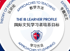 七宝德怀特高级中学项目课程介绍