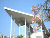 省实AP家长们心中的未来教育是怎样的