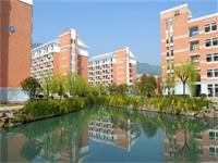 竞赛喜报 | 祝贺回浦国际部学子在澳大利亚数学竞赛中斩获佳绩