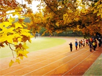 北京外国语大学国际高中的留美生活怎么样？