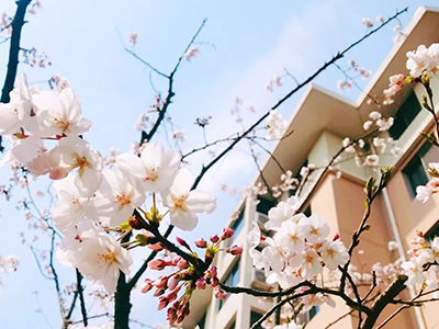 上海尚德实验学校培养多元化发展人才