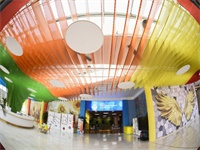 天悦学校:从实践引导科学的思维习惯