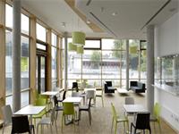 上海托马斯实验学校STEM研究课程详细课程介绍