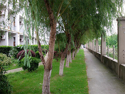 林国荣创意科技大学关于校长的介绍及理念与宗旨