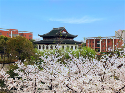 震泽中学AP课程在中国正式上线，课程详细介绍。