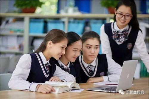 武钢三中国际部中美国际班的课程特色