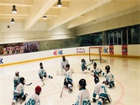 明知不可为而为之&mdash;&mdash;这就是少年气魄