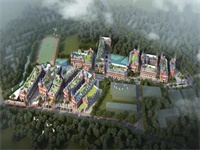 中宏国际书院课程体系