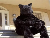 学生故事一 | 孙雨璇:The Road is Life