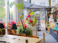 海文北美课程中心霍尔美高课程招生简章