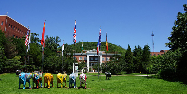 北京市私立汇佳学校招生要求是怎样的？