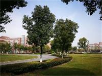 白玉木瑾四大教育亮点介绍