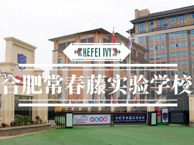 感受合肥高新常春藤实验学校的特色课程