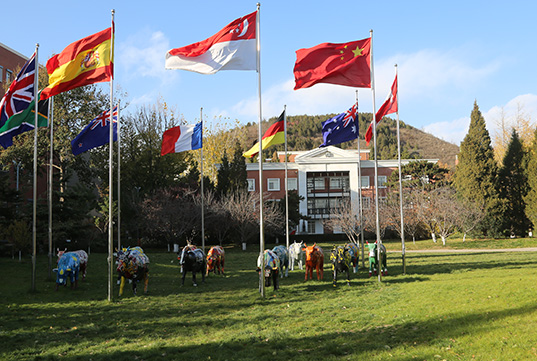 北京市私立汇佳学校IBDP成绩取得新突破！