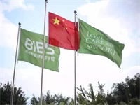 报告！2019国际青苗【优秀教师管理团队】集结完毕