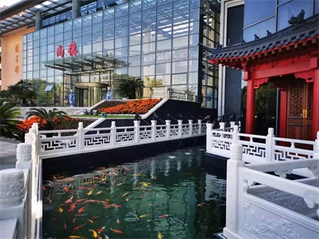 上海尚德实验学校（融合部）插班活动公告