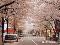 要去读日本语言学校吗？【上海鸿文国际课程中心】