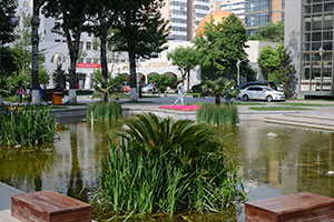 北京外国语大学国际课程中心教学资源