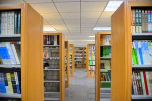 2020年新府学外国语学校小学部招生政策