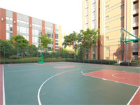 华二紫竹国际学校&mdash;开设IGCSE、A Level、IBDP、美高和AP等主流国际高中课程