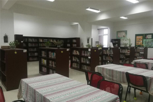 上海枫叶国际学校阅览室