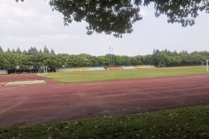 上海金苹果双语学校国际部<br>操场