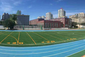 北京力迈中美国际学校操场