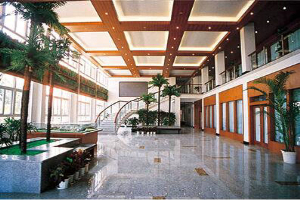 上海金苹果双语学校国际部<br>大厅